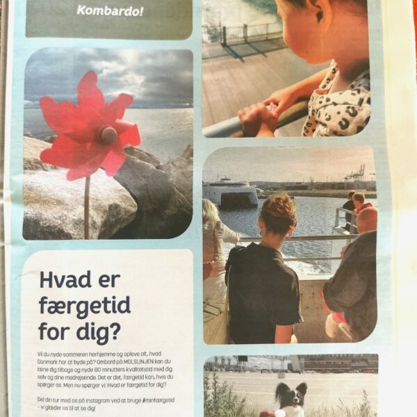 Drengene i Jyllands posten