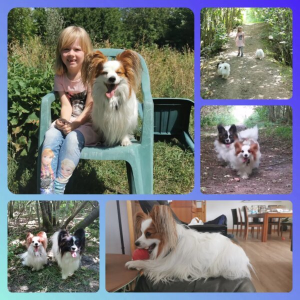 Dynamites 4 års fødselsdag