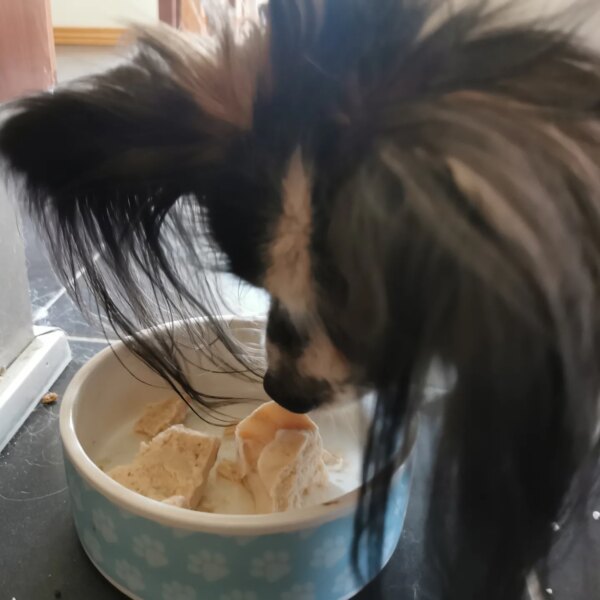 Ice, ice baby
