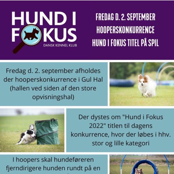 Sommerfugl på plakaten