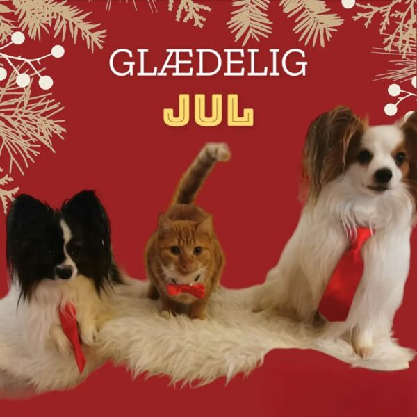 Glædelig jul