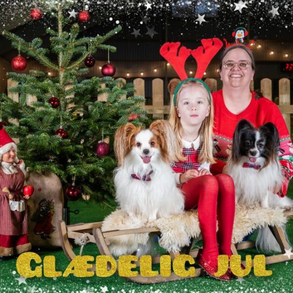Glædelig jul til jer alle sammen.