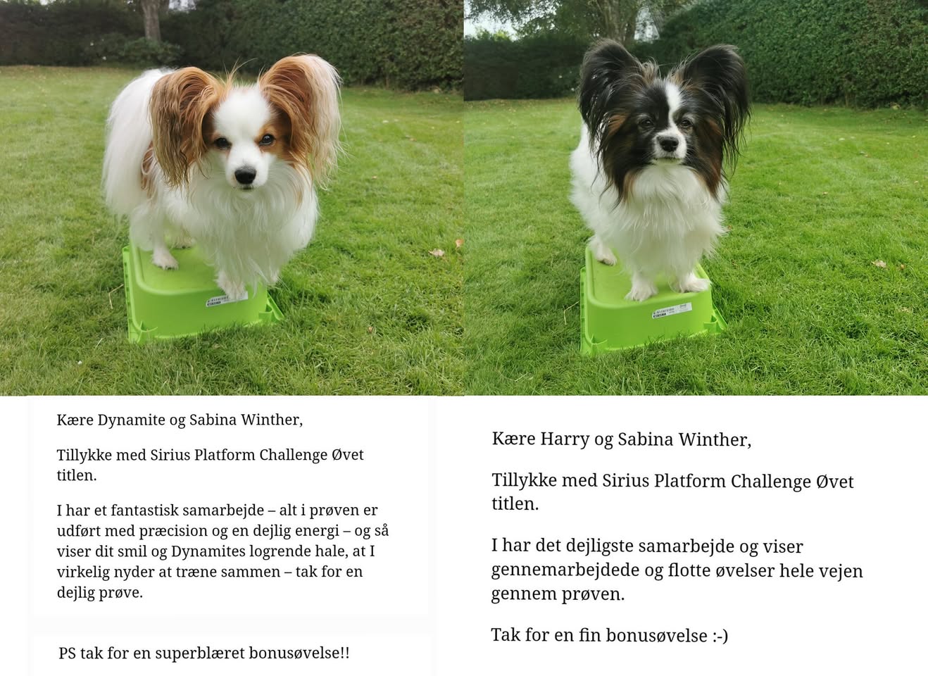 Facebook billede